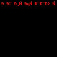 Фотографии