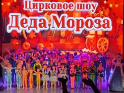 Цирковое шоу Деда Мороза